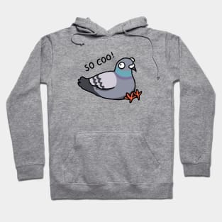 So coo pigeon Hoodie